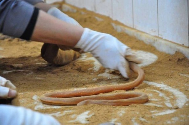 Foto - İşlendikten sonra tek tek kağıtlara sarılıyor! Tonlarcasını ücretsiz dağıtacaklar! Sadece 15 kişi hazırlıyor