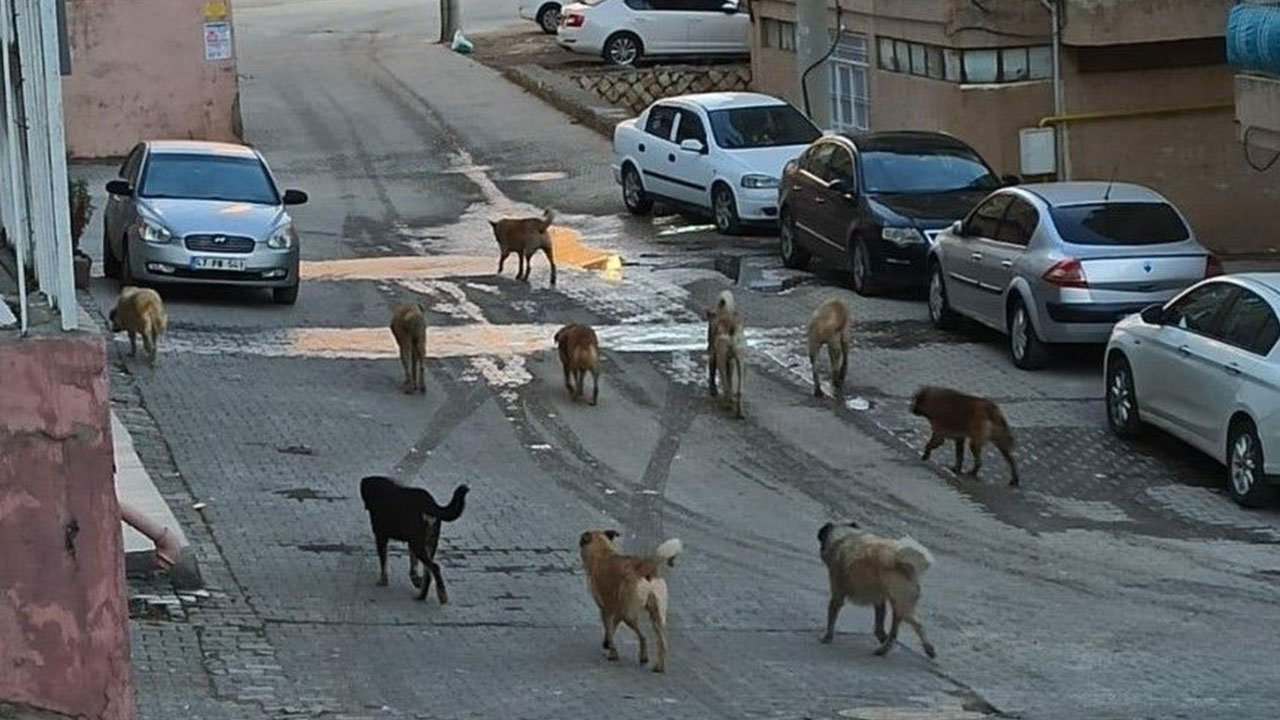 Foto - İsmail Kılıçarslan sonunda patladı: Soluklanın ve 'ne yapıyorum ben lan?' diye sorun kendinize