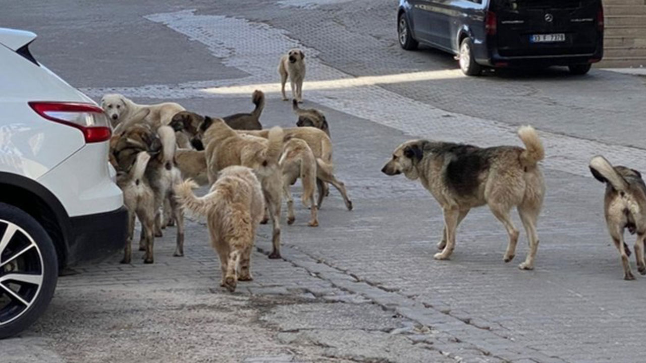 Foto - İsmail Kılıçarslan sonunda patladı: Soluklanın ve 'ne yapıyorum ben lan?' diye sorun kendinize