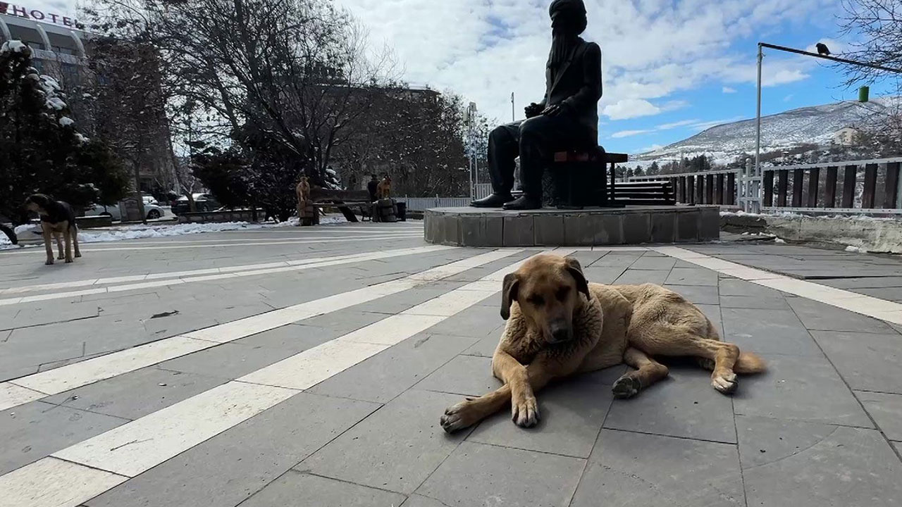 Foto - İsmail Kılıçarslan sonunda patladı: Soluklanın ve 'ne yapıyorum ben lan?' diye sorun kendinize
