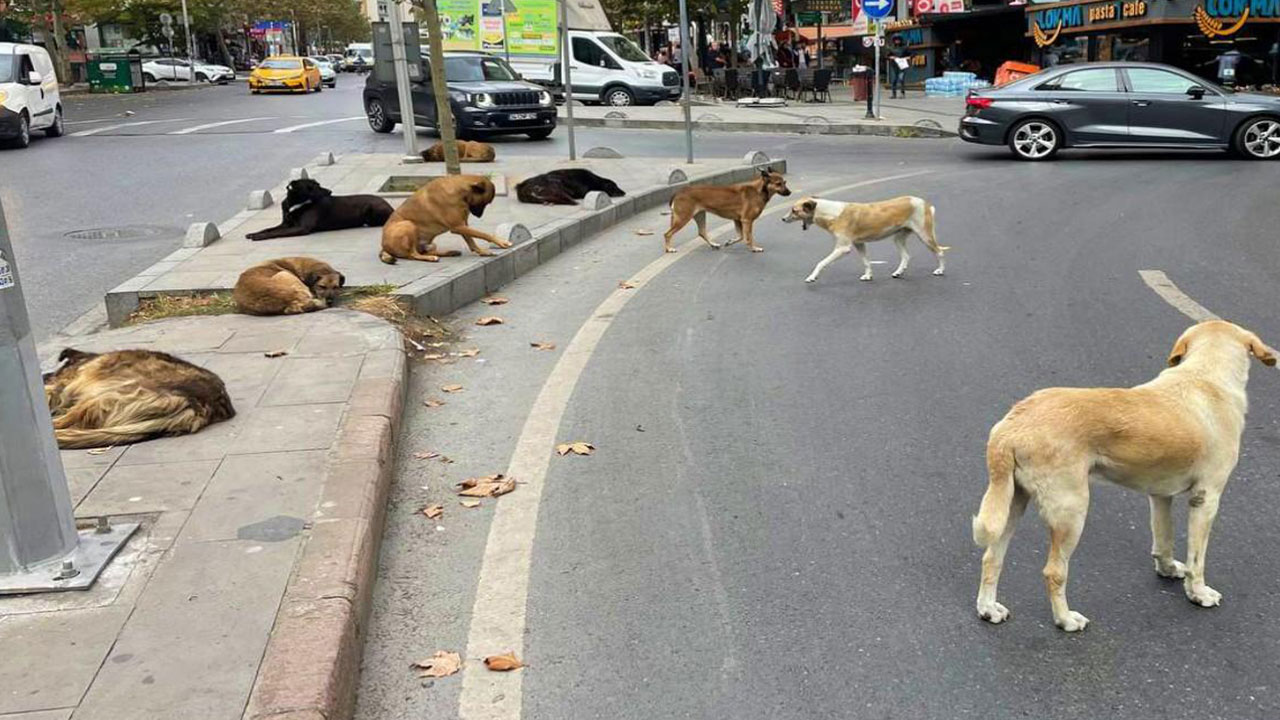 Foto - İsmail Kılıçarslan sonunda patladı: Soluklanın ve 'ne yapıyorum ben lan?' diye sorun kendinize