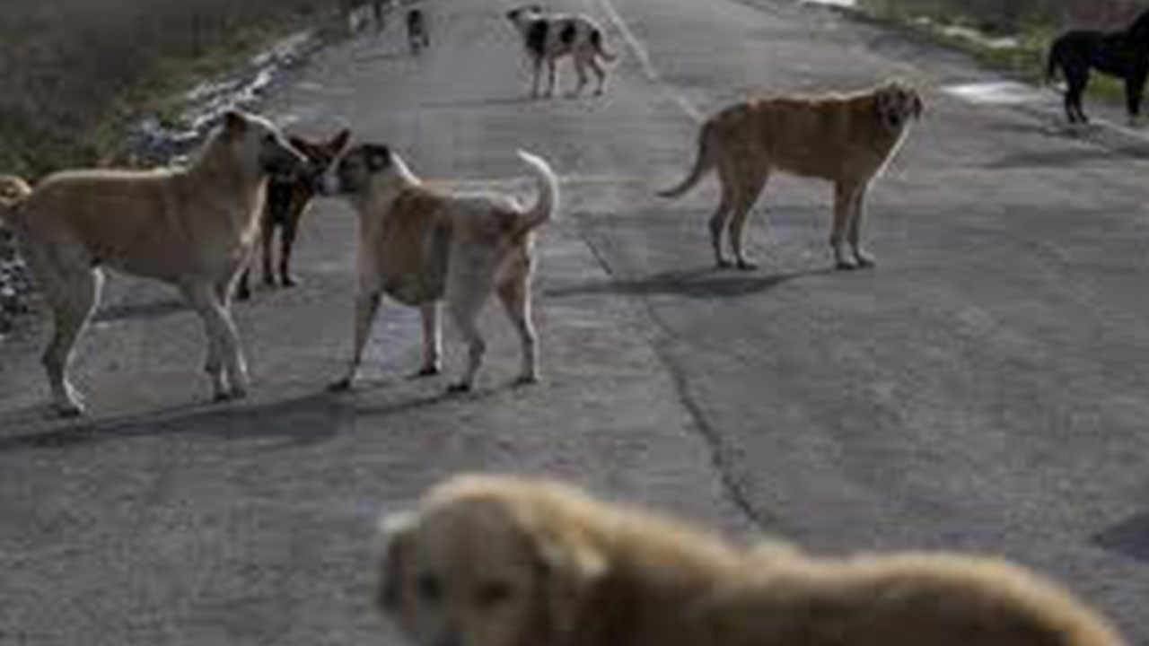 Foto - İsmail Kılıçarslan sonunda patladı: Soluklanın ve 'ne yapıyorum ben lan?' diye sorun kendinize