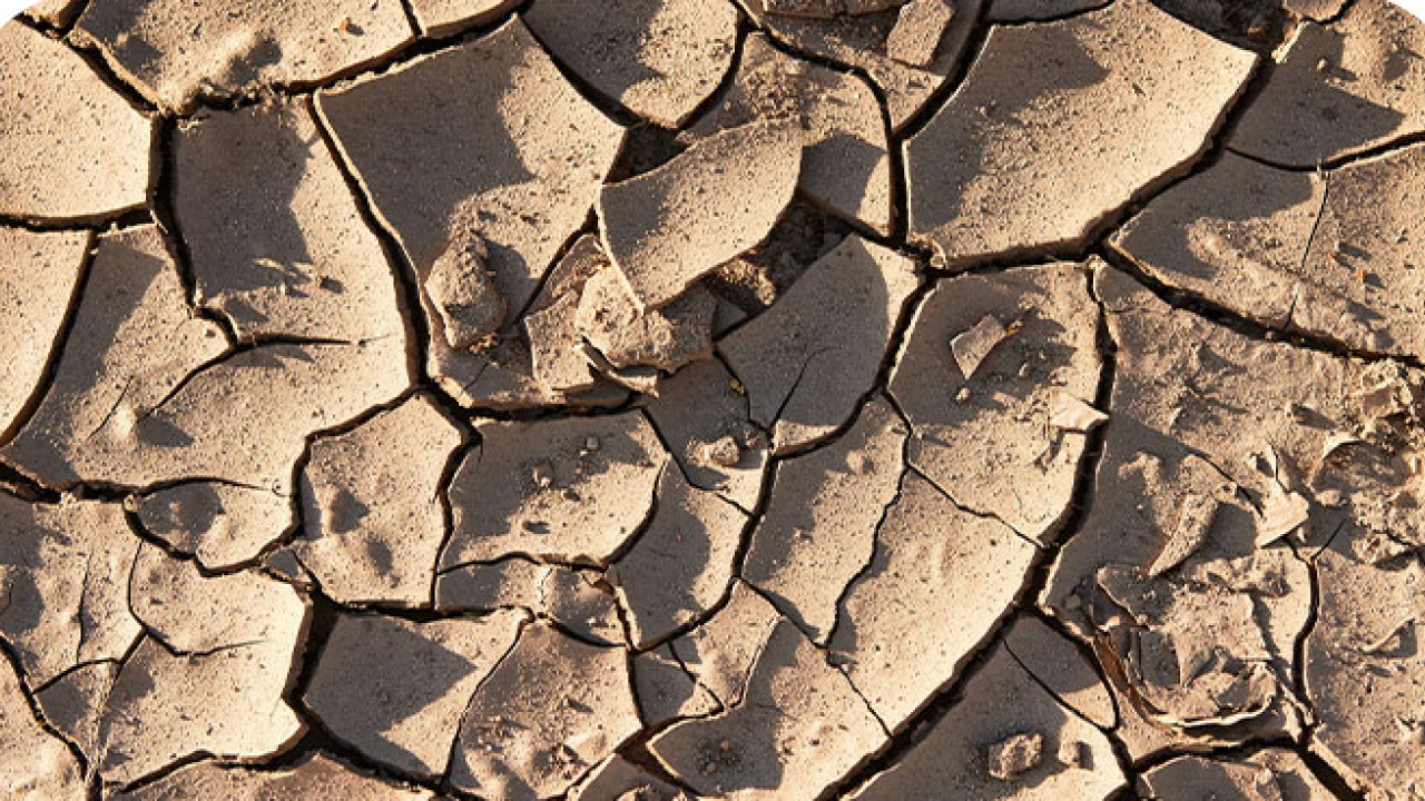 Foto - İsmail Yaşar Hoca Türkiye'de yağmurların neden yağmadığını açıkladı: Allah'ın bereket kapıları bu yüzden kapandı