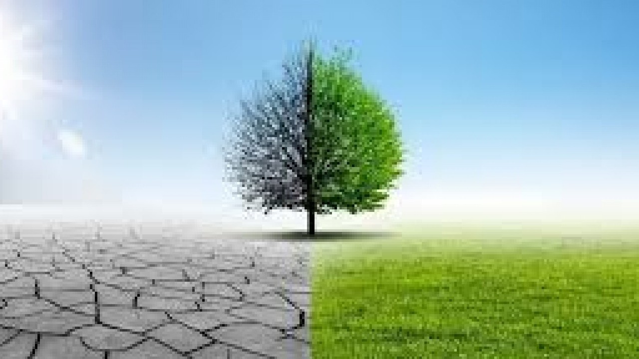 Foto - İsmail Yaşar Hoca Türkiye'de yağmurların neden yağmadığını açıkladı: Allah'ın bereket kapıları bu yüzden kapandı