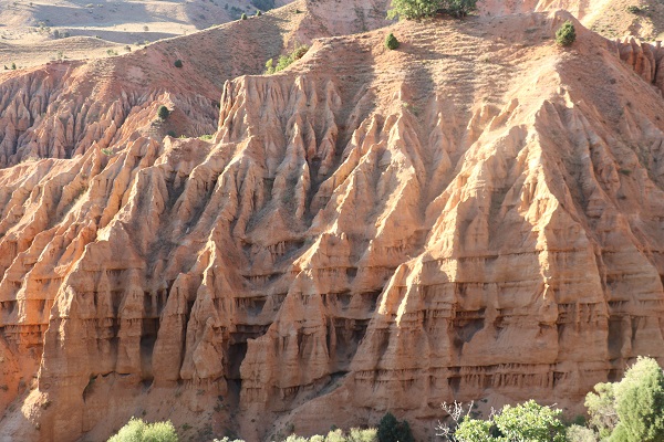 Foto - İsmi tüyleri diken diken ediyor! 