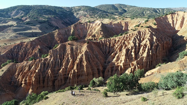 Foto - İsmi tüyleri diken diken ediyor! 