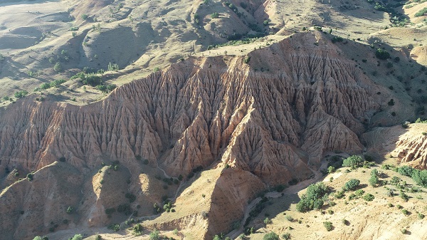 Foto - İsmi tüyleri diken diken ediyor! 