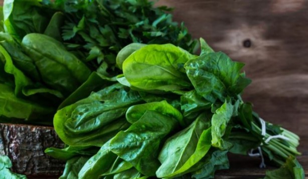 Foto - Ispanağı böyle tüketiyorsanız risk altındasınız