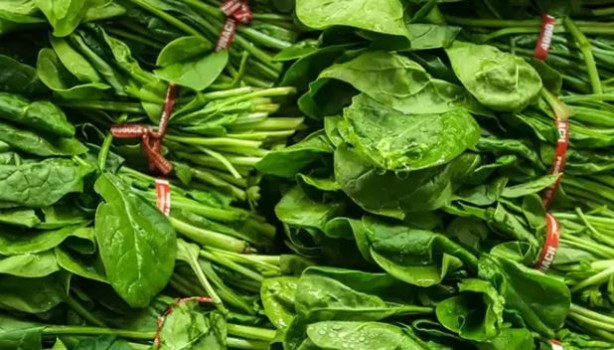 Foto - Ispanağı böyle tüketiyorsanız risk altındasınız