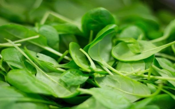 Foto - Ispanağı böyle tüketiyorsanız risk altındasınız