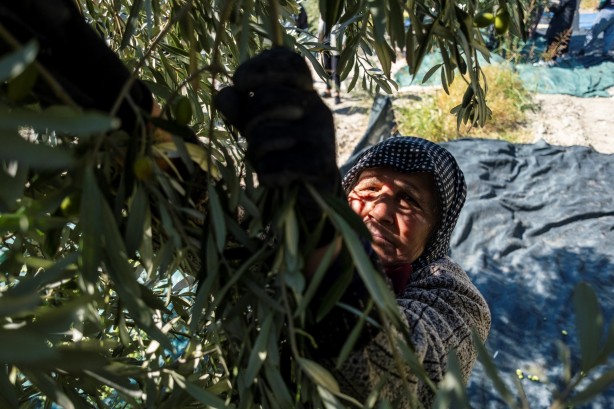 Foto - İspanya ve İtalya artık üretemez oldu! Türkiye'den almak zorunda kalacaklar