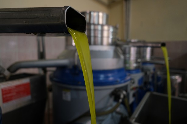 Foto - İspanya ve İtalya artık üretemez oldu! Türkiye'den almak zorunda kalacaklar