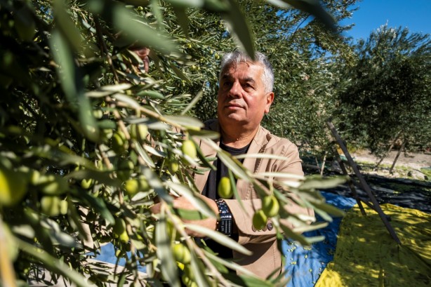 Foto - İspanya ve İtalya artık üretemez oldu! Türkiye'den almak zorunda kalacaklar