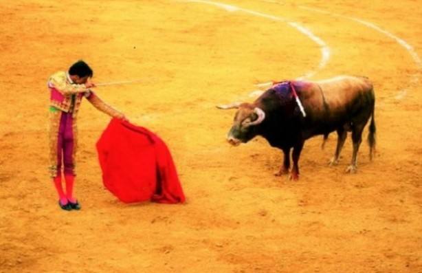 Foto - İspanya'da 'boğa katliamı' iptal edildi