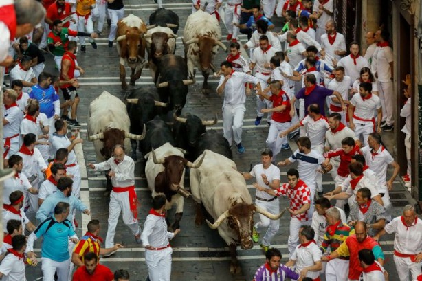 Foto - İspanya'da 'boğa katliamı' iptal edildi