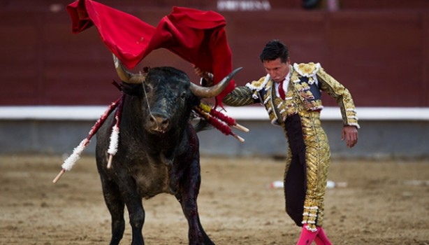 İspanya'da 'boğa katliamı' iptal edildi