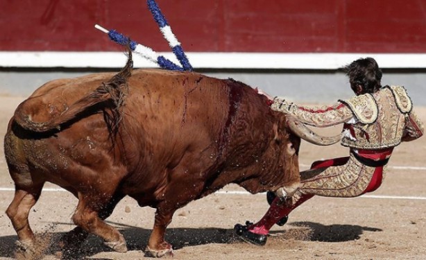 Foto - İspanya'da 'boğa katliamı' iptal edildi