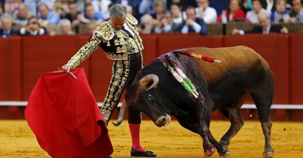 Foto - İspanya'da 'boğa katliamı' iptal edildi