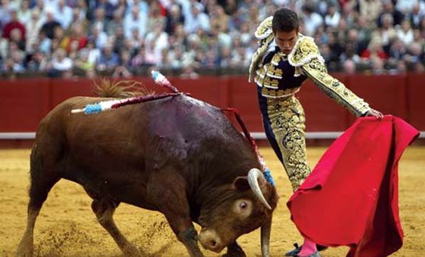 Foto - İspanya'da 'boğa katliamı' iptal edildi