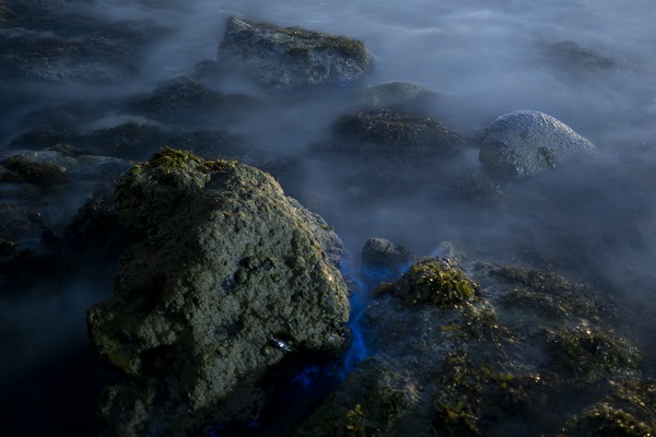 Foto - İspanya’da ‘sütlü deniz’ objektiflere yansıdı