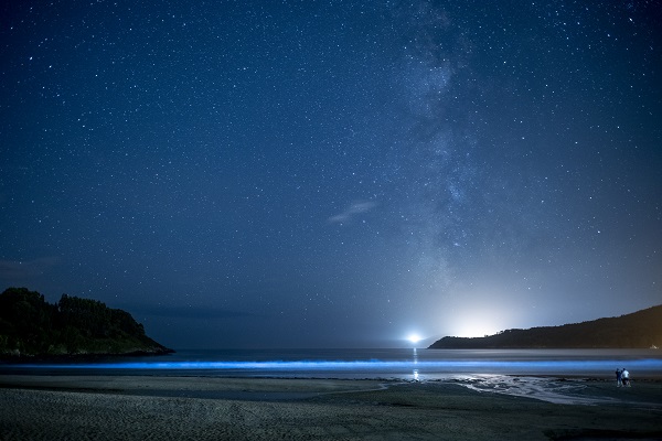 Foto - İspanya’da ‘sütlü deniz’ objektiflere yansıdı
