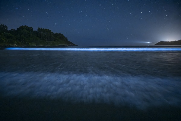Foto - İspanya’da ‘sütlü deniz’ objektiflere yansıdı