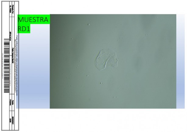 Foto - İspanyol bilim adamı, aşıda grafen tespit etti! Rapor yayınladı