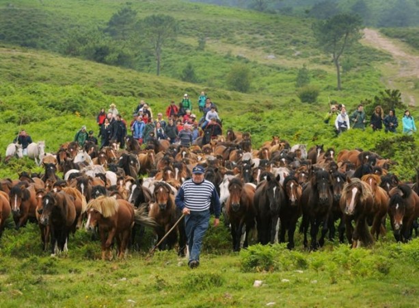 Foto - İspanyolların at yelesi sevdası