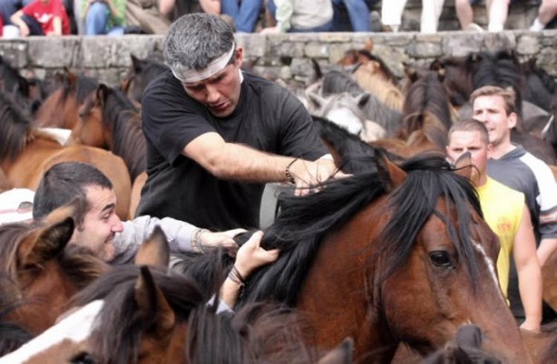 Foto - İspanyolların at yelesi sevdası