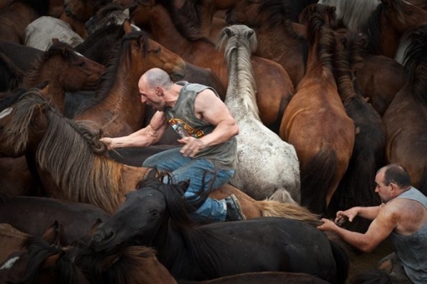 Foto - İspanyolların at yelesi sevdası