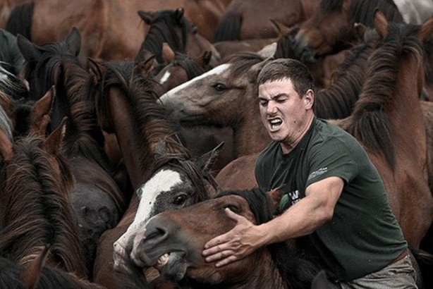 Foto - İspanyolların at yelesi sevdası