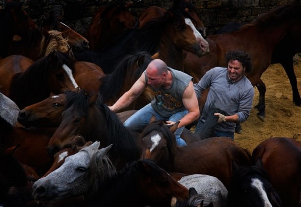 Foto - İspanyolların at yelesi sevdası
