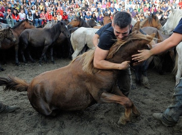 Foto - İspanyolların at yelesi sevdası
