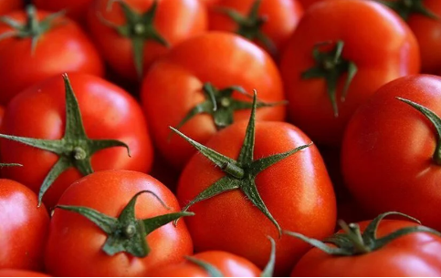 Foto - İsrail kanalından akılalmaz iddia! 'Türkiye'den satın aldık' diyerek ortalığı karıştırmaya başladılar