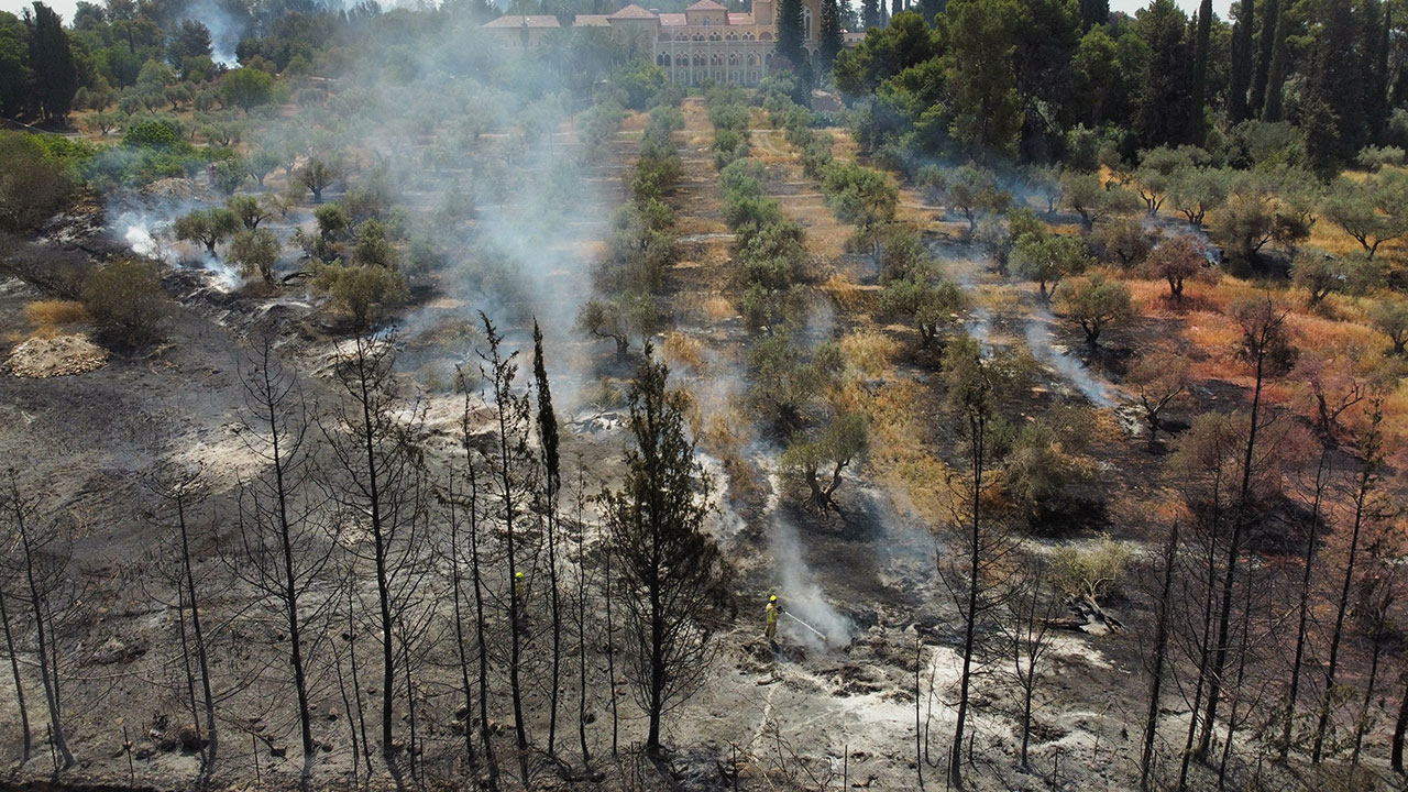 Foto - İsrail'deki yangınların bilançosu belli oldu