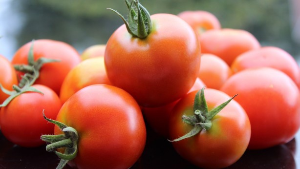Foto - İsrail'e domates gönderen Türk siyasetçi bakın kim çıktı! Apar topar görevden alındı