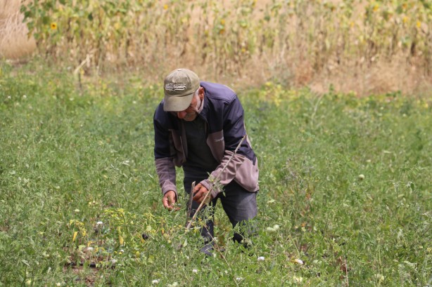İsrail'e kızıp Sivas'ta üretti! Tüm Türkiye bu adamın peşinde, her yerden onu arıyorlar