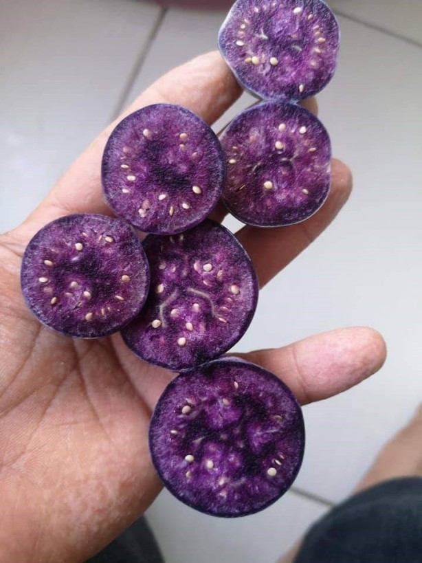 Foto - İsrail'e kızıp Sivas'ta üretti! Tüm Türkiye bu adamın peşinde, her yerden onu arıyorlar