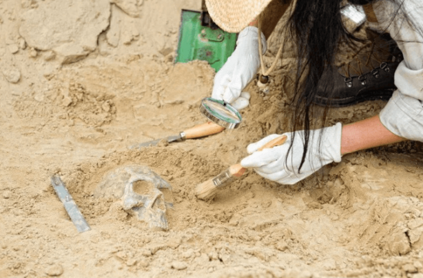 Foto - O ülke, "Tüm dünya bunu görmeli" diyerek duyurdu! Orada gördükleri şey dünyayı salladı