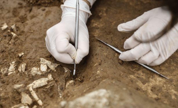 Foto - O ülke, "Tüm dünya bunu görmeli" diyerek duyurdu! Orada gördükleri şey dünyayı salladı