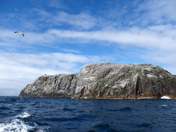 Issız adada çalışacak 2 işçi aranıyor! Şartlar belli oldu