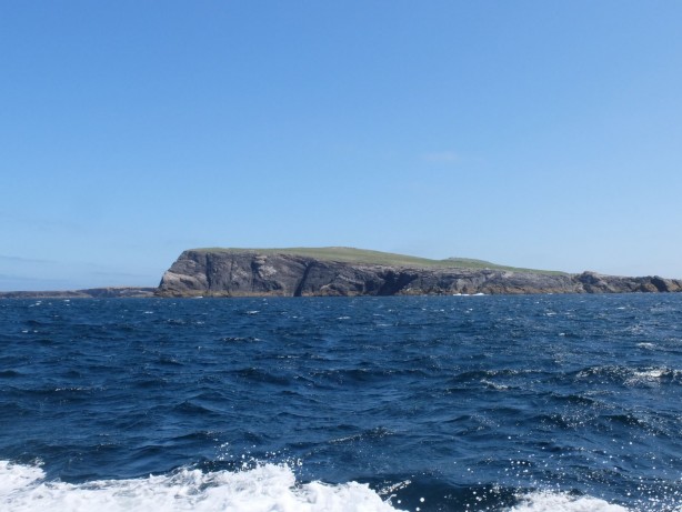 Foto - Issız adada çalışacak 2 işçi aranıyor! Şartlar belli oldu