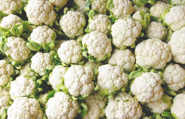 Foto - İştahı tamamen kesiyor! Hızla zayıflamanızı sağlayacak o besin