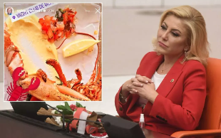 Istakoz paylaşımı yapan AK Partili vekil Şebnem Bursalı'ya o isimden tepki: İstifa edeceksin