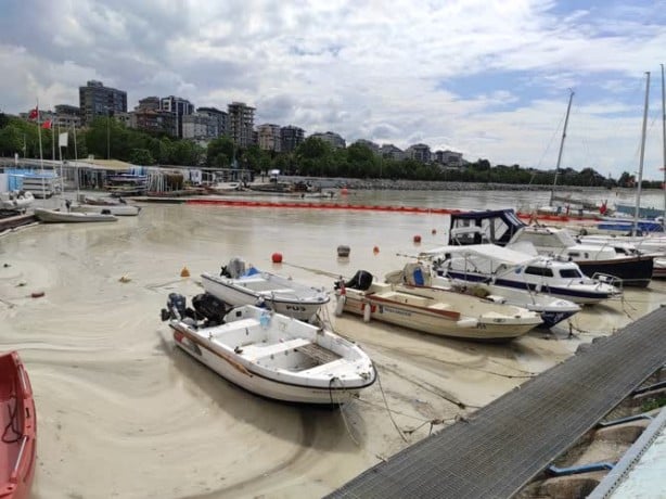 Foto - İstanbul Anadolu yakasında deniz salyası arttı