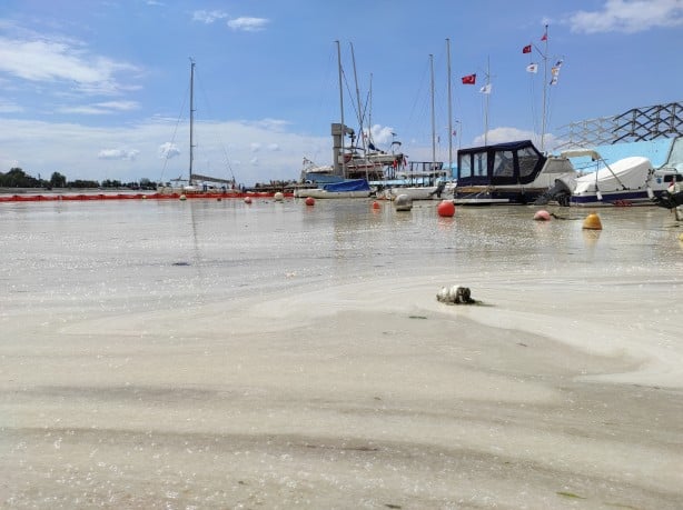 İstanbul Anadolu yakasında deniz salyası arttı