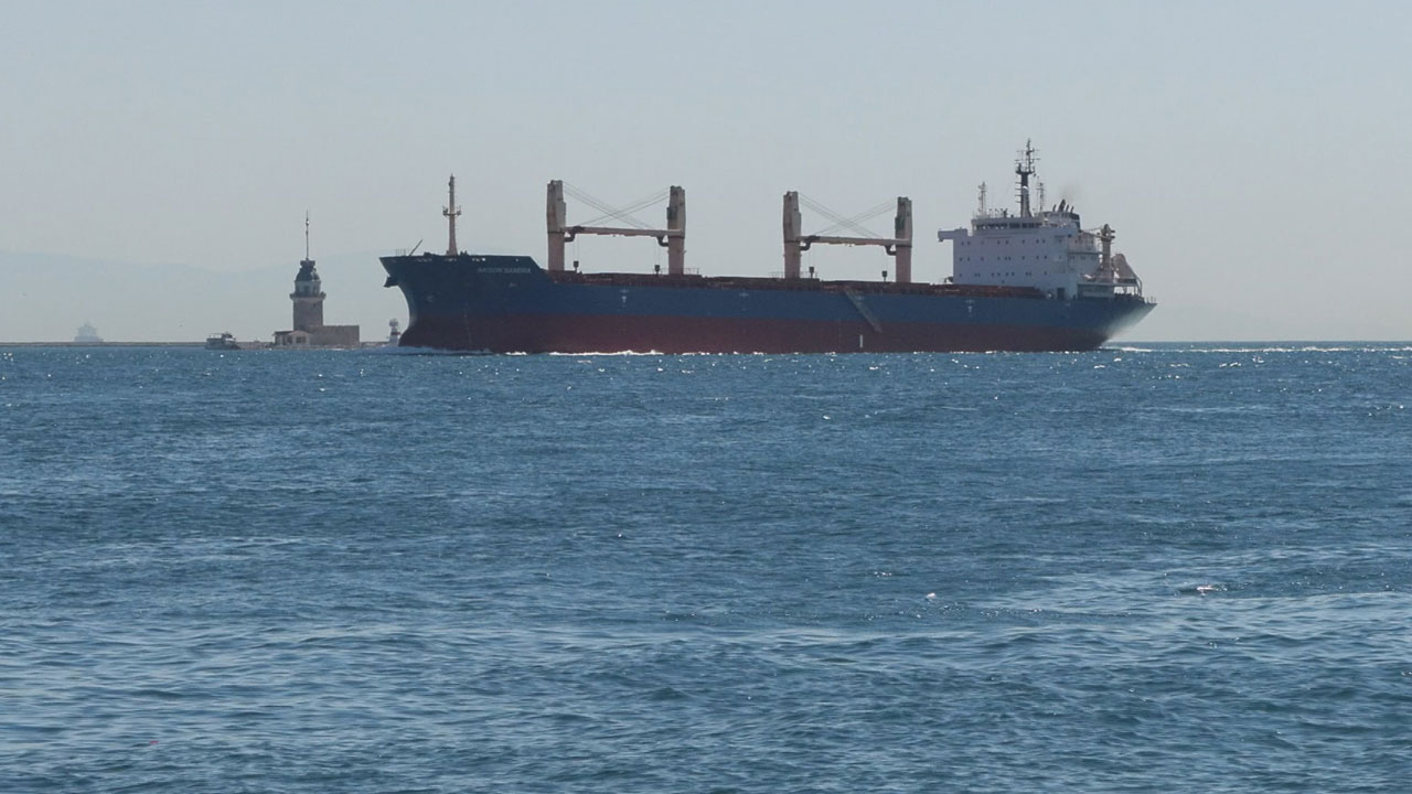 İstanbul Boğazı alarm veriyor! Balıklar göç edemiyor, ekosistem çöküyor