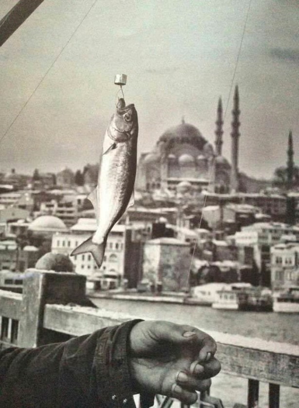 Foto - İstanbul Boğazı bir zamanlar balık doluydu
