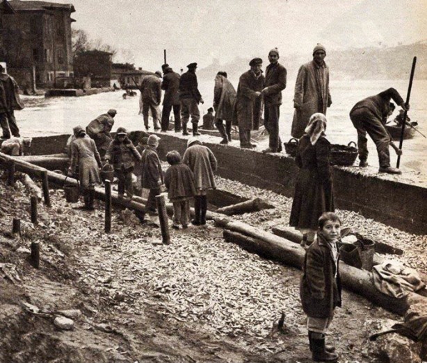 Foto - İstanbul Boğazı bir zamanlar balık doluydu