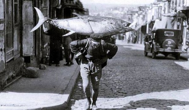 Foto - İstanbul Boğazı bir zamanlar balık doluydu